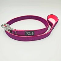 4 Ft. Nylon Lead - Purple Outer, Hot Pink Inner, Grey Thread, Stainless Steel Bullsnap
