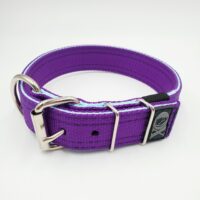 1.5" Nylon Collar- Purple Outer, Powder Blue Inner, Black Stitch