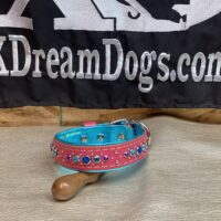 Custom 1.25" Cotton Candy Collar