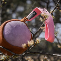 Suede Ball Tug