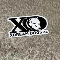 Classic XD Logo Sticker