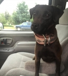 View the album Happy Customers